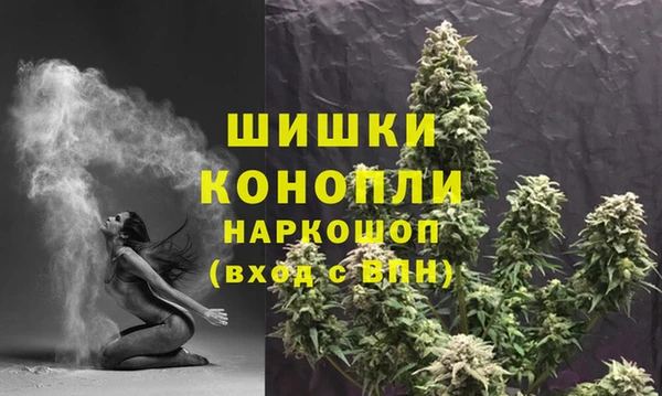 винт Каменка